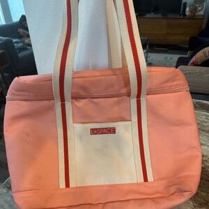 L*Space Cooler/tote Bag (needs cleaning, has stains/piling)